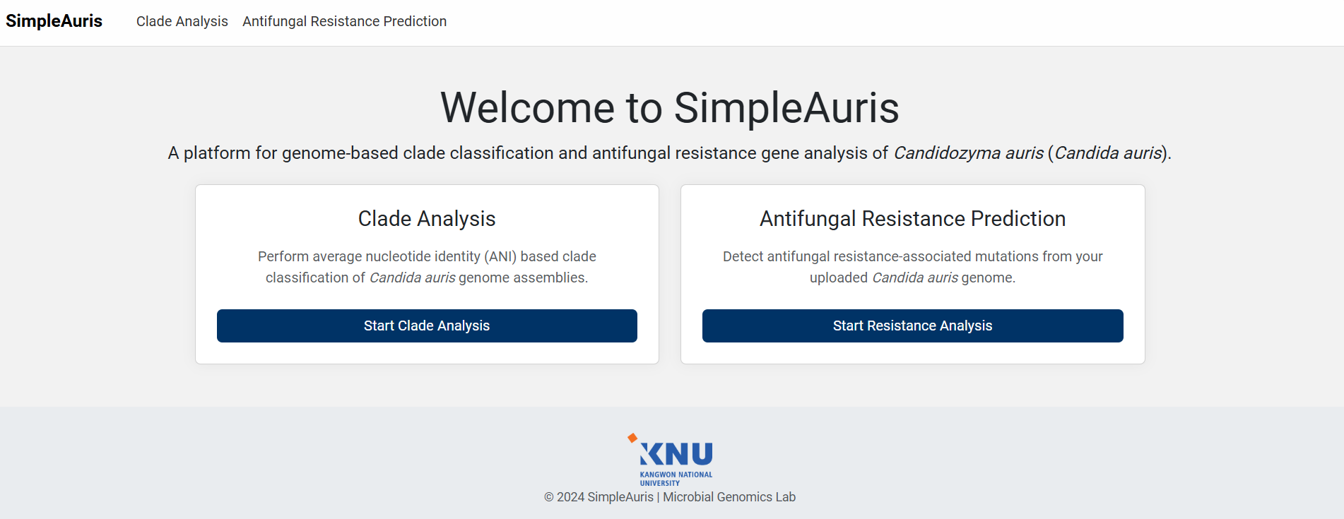 simpleauris screenshot